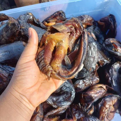 1kg of Smoked Dried Catfish — Full Size - Image 3